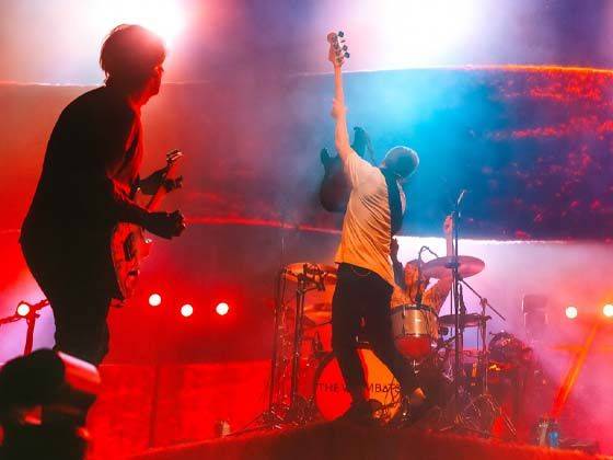 The Wombats